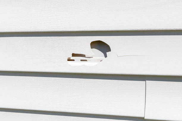Best Foreclosure Cleanout  in Irvine, KY