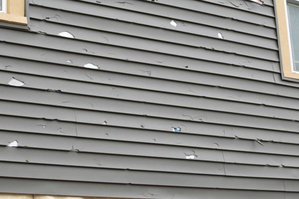 Best Property Management Cleanouts  in Irvine, KY